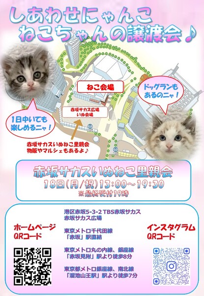 しあわせにゃんこ猫ちゃんの譲渡会IN赤坂サカスいぬねこ里親会