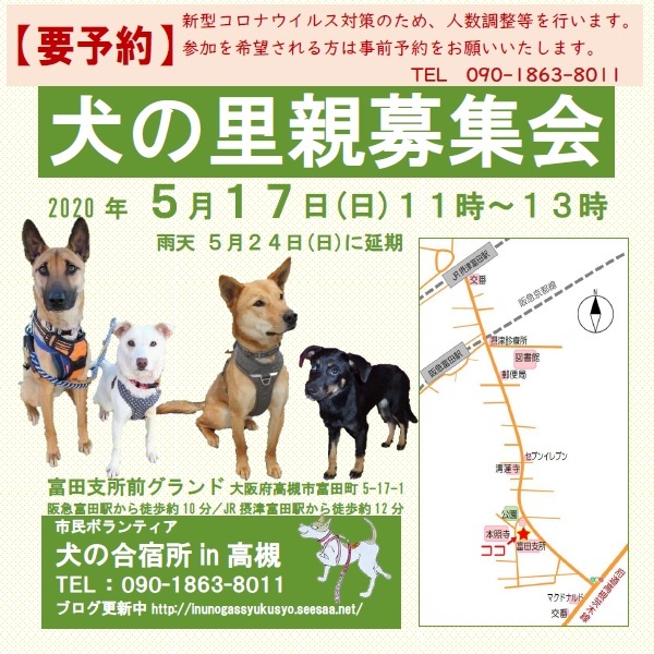 イベント詳細 いつでも里親募集中