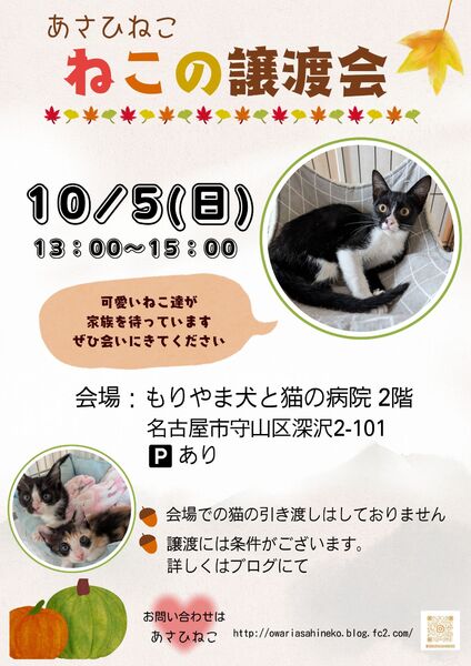 Emma様 リクエスト 2点 まとめ商品 【公式通販】