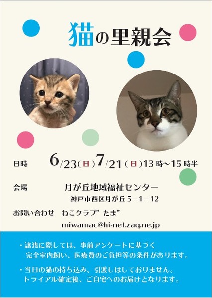 イベント詳細 いつでも里親募集中 イベント詳細 いつでも里親募集中