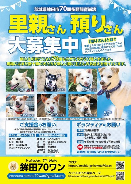 犬fes いぬフェス いつでも里親募集中