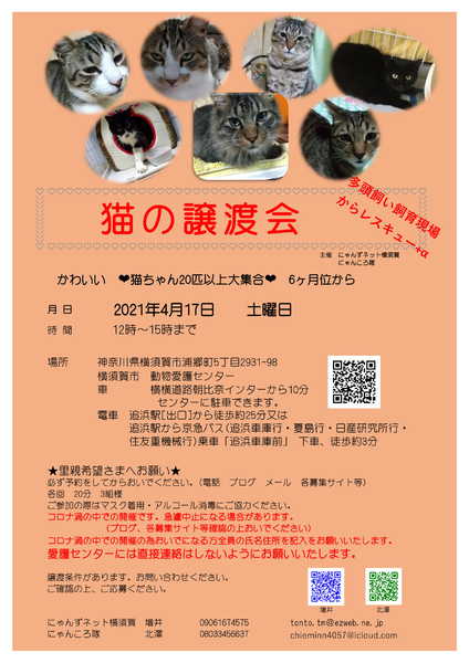 イベント詳細 いつでも里親募集中