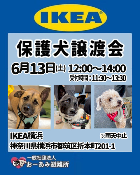 おーあみ避難所inIKEA横浜｜いつでも里親募集中