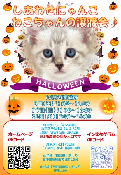 ゆうきにゃん様コメント用 ◉ゆきにゃん◉👑 (@yukinyantaro) / Posts / X