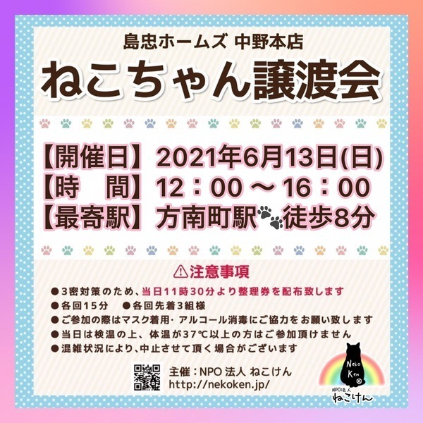島忠中野本店]ねこけん譲渡会｜いつでも里親募集中