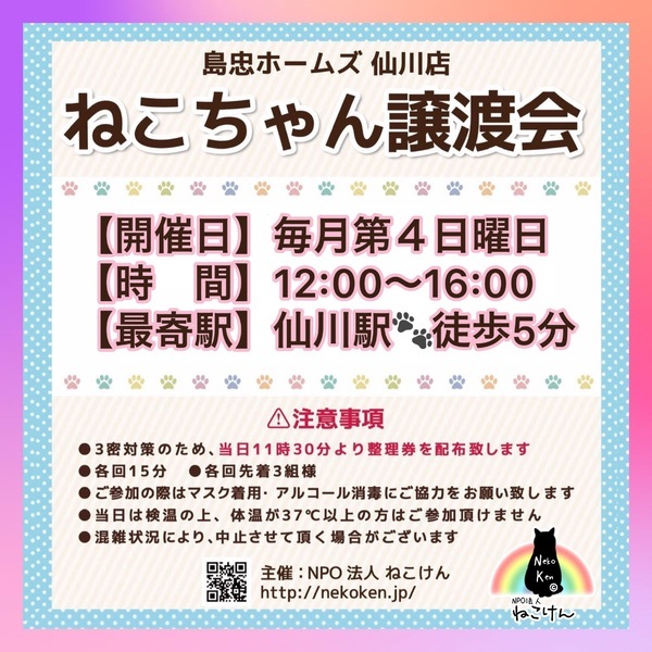 島忠中野本店]ねこけん譲渡会｜いつでも里親募集中