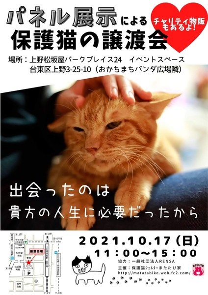 パネル展示による保護猫❤️譲渡会in上野｜いつでも里親募集中