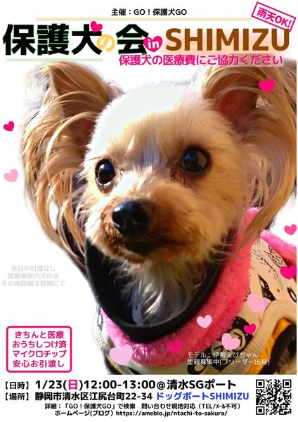 イベント詳細 いつでも里親募集中 イベント詳細 いつでも里親募集中