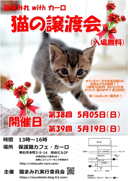 明石 猫の譲渡会 猫まみれwithカーロ 第39回 いつでも里親募集中