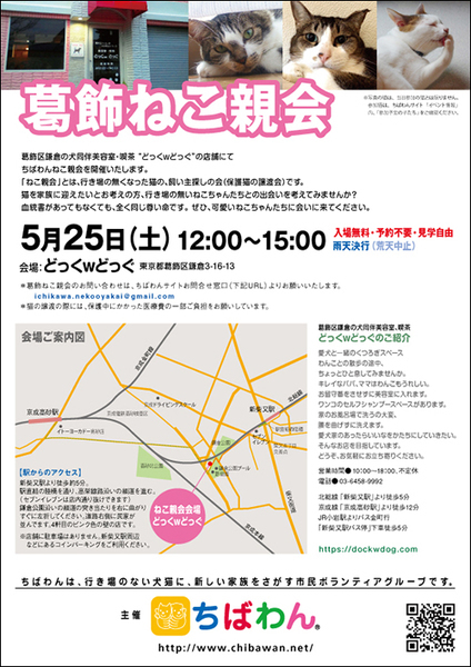 イベント詳細 いつでも里親募集中 イベント詳細 いつでも里親募集中