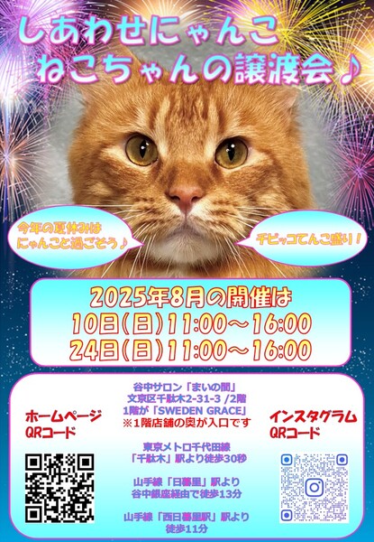 ねこニャン様 お問い合わせ中 しあわせにゃんこ猫ちゃんの譲渡会IN谷中サロン「まいの間