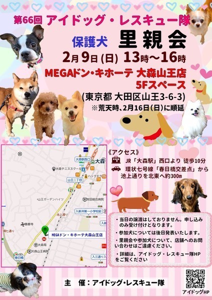 イベント詳細 いつでも里親募集中 イベント詳細 いつでも里親募集中