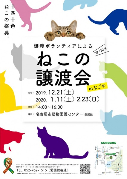 イベント詳細 いつでも里親募集中 イベント詳細 いつでも里親募集中