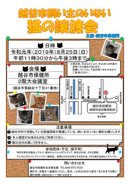イベント詳細 いつでも里親募集中 イベント詳細 いつでも里親募集中