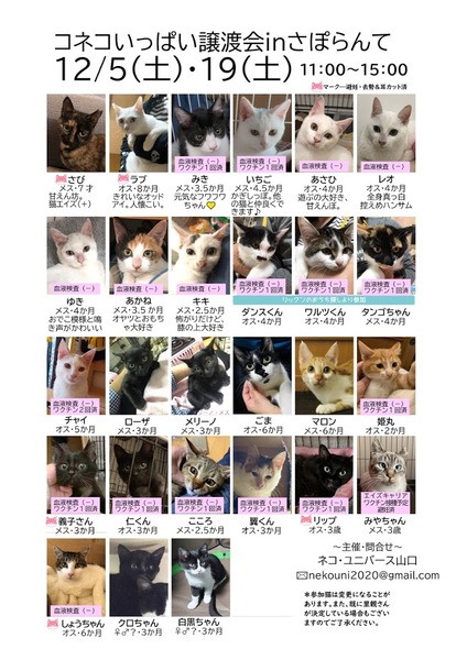 イベント詳細 いつでも里親募集中 イベント詳細 いつでも里親募集中