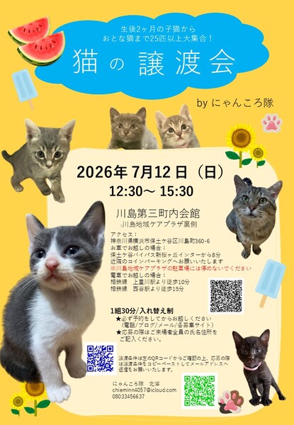 猫の譲渡会 by にゃんころ隊 7/12｜いつでも里親募集中