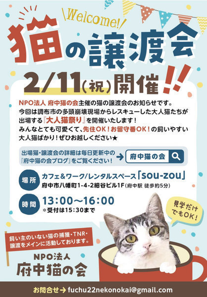 イベント詳細 いつでも里親募集中 イベント詳細 いつでも里親募集中