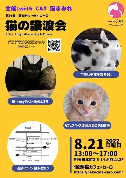 明石市 猫の譲渡会 いつでも里親募集中