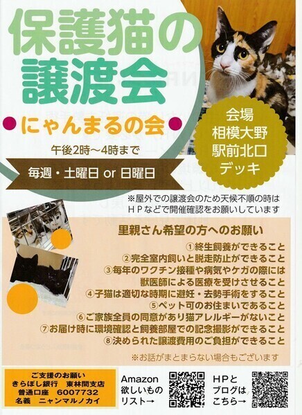 ○にゃんまるの会＃相模大野○猫の譲渡会｜いつでも里親募集中