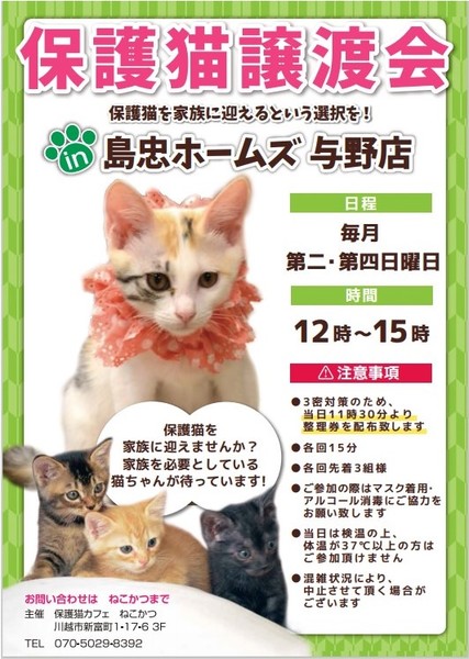 イベント詳細 いつでも里親募集中 イベント詳細 いつでも里親募集中