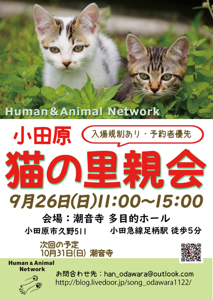 イベント詳細 いつでも里親募集中