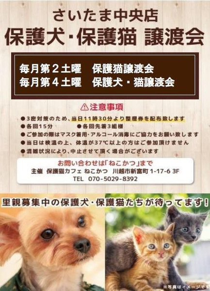 イベント詳細 いつでも里親募集中 イベント詳細 いつでも里親募集中
