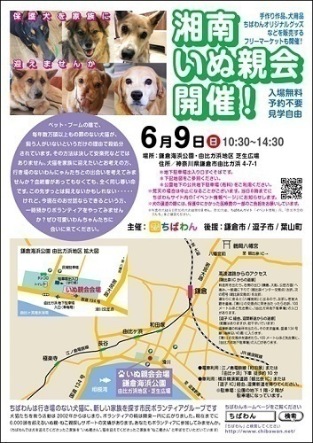 イベント詳細 いつでも里親募集中 イベント詳細 いつでも里親募集中