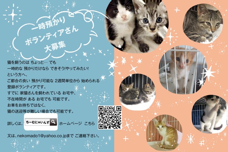 イベント詳細 いつでも里親募集中