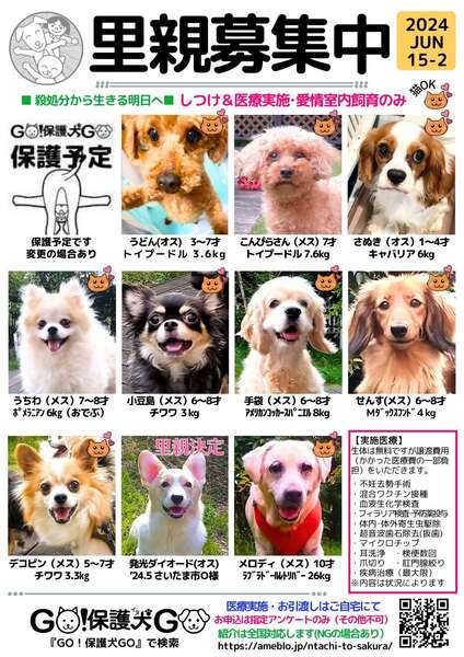 保護犬の会＆希望者相談会＠愛犬お宿伊豆高原｜いつでも里親募集中
