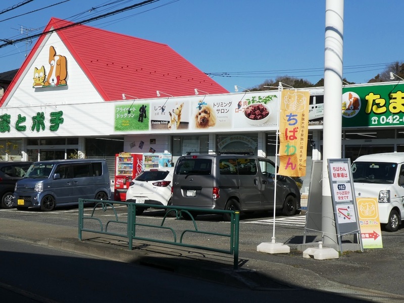 イベント詳細｜いつでも里親募集中