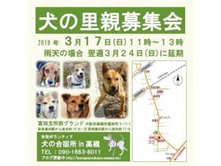 イベント一覧 いつでも里親募集中