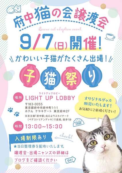 9/7譲渡会出場にゃんず 黒白子猫♀@約4ヶ月未満(仮名)アッコ