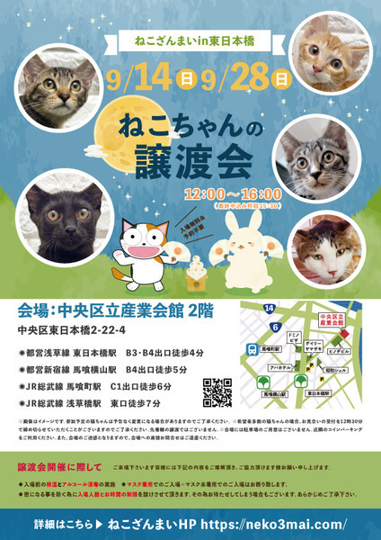 9/14東日本橋】童顔の美人さん♡マツママちゃん｜いつでも里親募集中