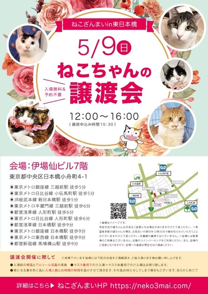 5/9日本橋】超絶甘えん坊♡ まさるくん｜いつでも里親募集中