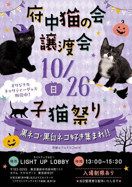 こねこ屋様♡ありがとうございます♡ 10/26譲渡会出場にゃんず 黒子猫♀@約4ヶ月(仮名)ミカサちゃん