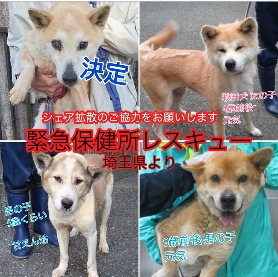 里親情報詳細 いつでも里親募集中