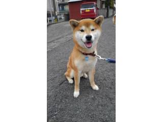 プロフィール｜いつでも里親募集中