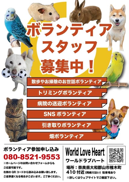 リモート可！】ボランティア募集中！World love heart｜いつでも里親募集中
