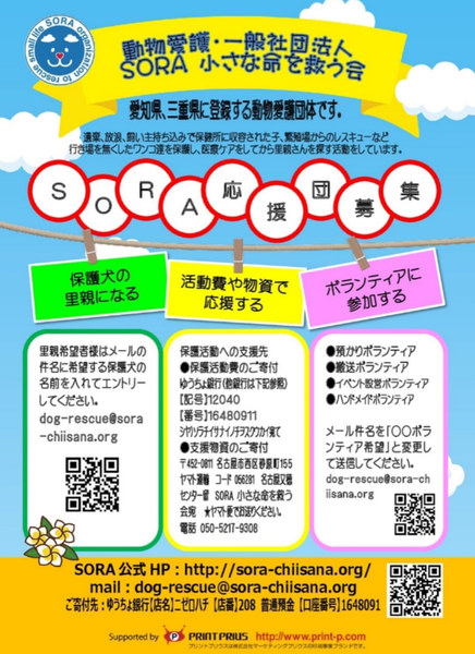 ボランティア 求人募集詳細 いつでも里親募集中 ボランティア 求人募集詳細 いつでも里親募集中