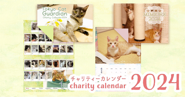 可愛い猫たちがいっぱい！2024年チャリティーカレンダー