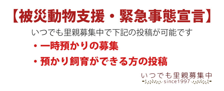 【緊急事態宣言】被災地の動物の一時預かり立候補の投稿が可能です。