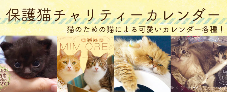 保護猫チャリティーカレンダー
