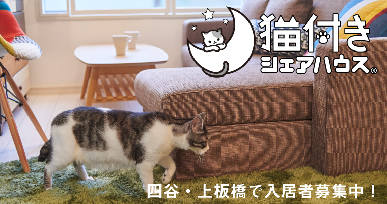 ショップ 里親 猫 ペット 売れ残り