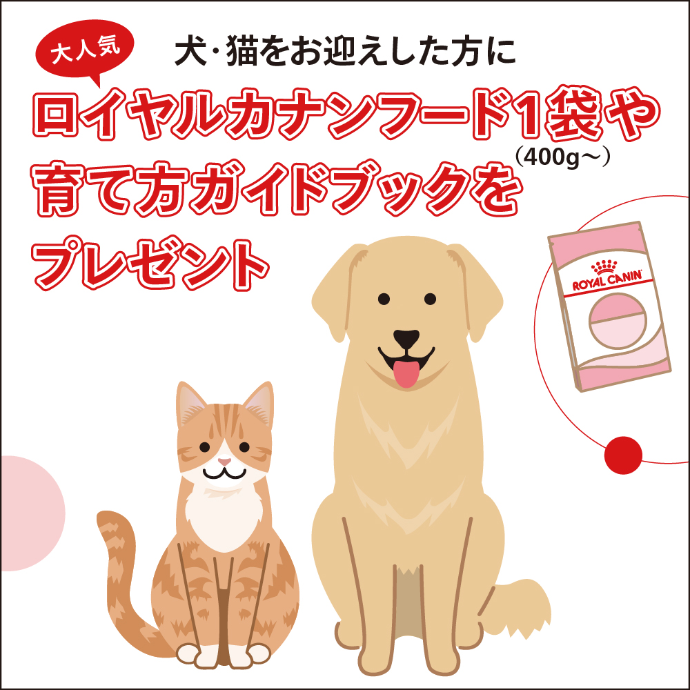 いつ里・ロイヤルカナン特別企画